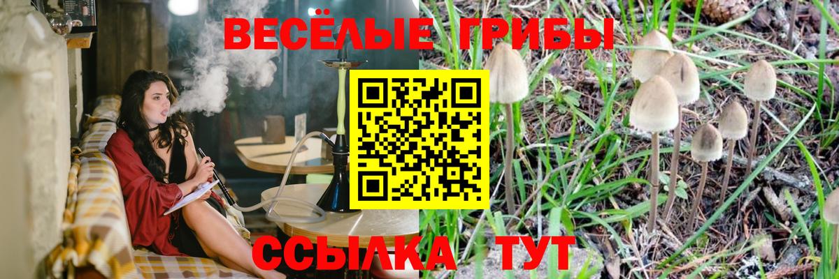 Галлюциногенные грибы GOLDEN TEACHER  Галлюциногенные грибы ЛСД  Киреевск  сколько стоит  Вход с VPN 